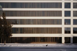 Denver building with bird strike prevention window film